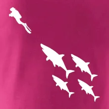 Potápač žraloky Potápač žraloky