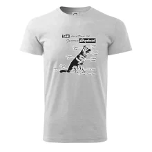 Nemecký ovčiak - Anatómia Nemecký ovčiak - Anatómia