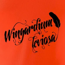 Harry - Wingardium Leviosa