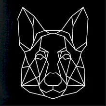 Nemecký ovčiak - Geometria Nemecký ovčiak - Geometria