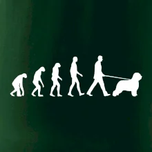 Evolúcia pes Briard