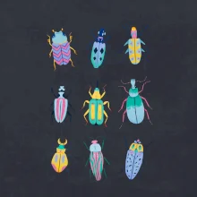 Farebné chrobáky (studio-arte.cz) Farebné chrobáky (studio-arte.cz)