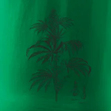 Konope kvietok čiernobiely  