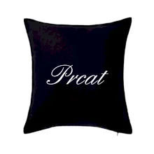 Prcat (súložiť vulgárne) Prcat (súložiť vulgárne)