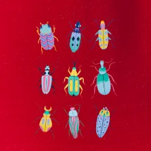 Farebné chrobáky (studio-arte.cz)