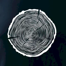 Letokruhy 55 bez veku