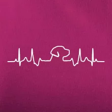 Labradorský retriever‎ EKG
