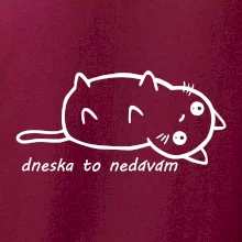 Dnes to nedávam