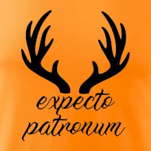 Harry - Expecto patronum Harry - Expecto patronum