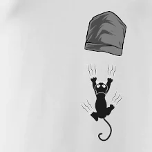 Mačka vypadla z vrecka