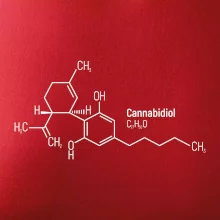 Molekulárna štruktúra CBD (Canabidiol) Molekulárna štruktúra CBD (Canabidiol)