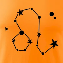 Súhvezdie - Leo - Lev Súhvezdie - Leo - Lev