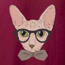 Hipster sphynx