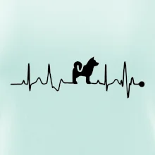 Shiba-Inu EKG Shiba-Inu EKG