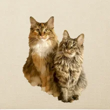 Mačky vectorizované (Moňas)