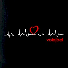 Moje srdce bije pre Volejbal