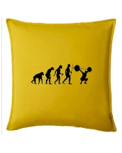 Evolution fitness Evolution fitness