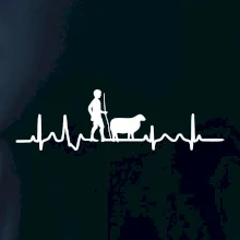 Ekg pastier oviec