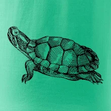 Ceruzkou kreslená korytnačka