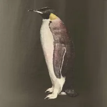 Tučniak kreslený vodovými farbami