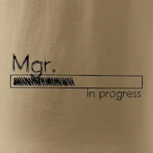 In progress titul Mgr. magister / magistra