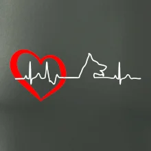 Nemecký ovčiak ekg