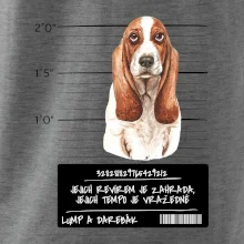 Baset - lump a darebák  