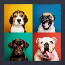 Psi šteňatá koláž