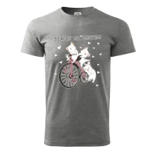 Mačky na bicykli