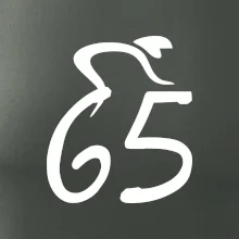 Cyklista oslavuje šesťdesiatpäťku (65)