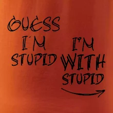 Guess iam stupid