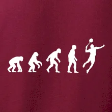 Evolúcia Bedminton