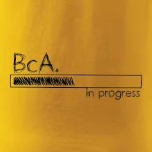 In progress titul BcA. bakalár / bakalárka umenia