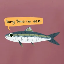 Long time no sea