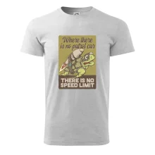 Korytnačka na cestách