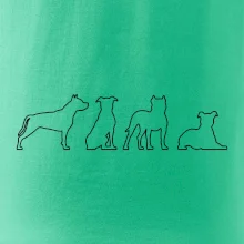 Americký stafordšírsky teriér v rôznych pozíciách