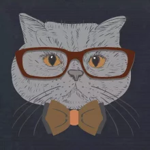 Hipster britská modrá