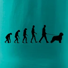 Evolúcia pes Briard