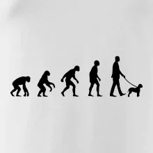 Lagotto romagnolo Evolúcia muž / žena