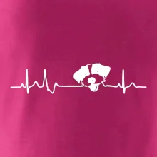 Jack Russell Teriér hrubosrstý Ekg