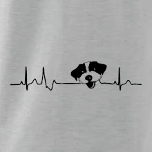 Jack Russell Teriér hrubosrstý Ekg
