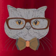 Hipster britská modrá Hipster britská modrá