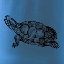 Ceruzkou kreslená korytnačka