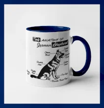 Nemecký ovčiak - Anatómia