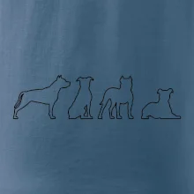 Americký stafordšírsky teriér v rôznych pozíciách