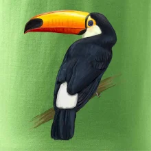 Tukan kreslený