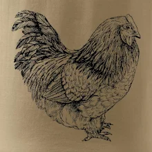 Sliepka čiernobiela