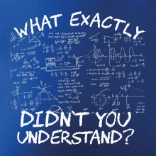 What exactly didn't you understand - physics What exactly didn't you understand - physics