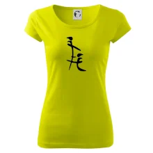 Čínský znak Čínský znak