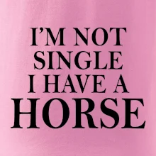 I have a horse I have a horse